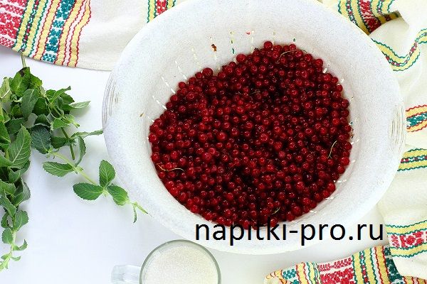 как закатать компот из красной смородины на зиму