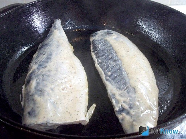 как вкусно пожарить скумбрию